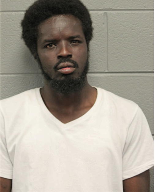 WILLIE ADAMS, Cook County, Illinois