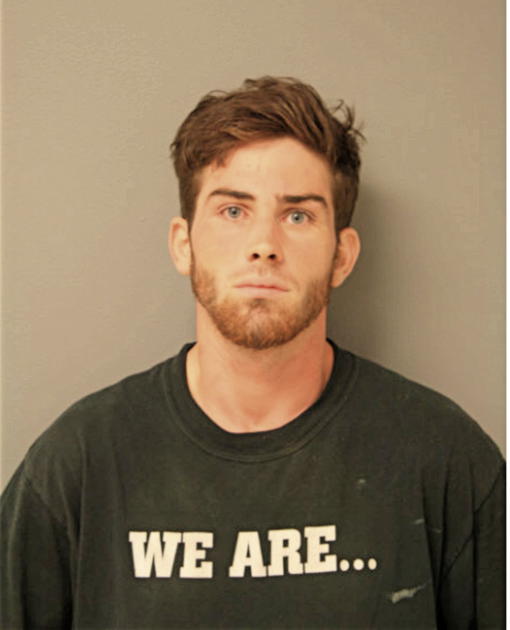 SEAN P AHERN, Cook County, Illinois