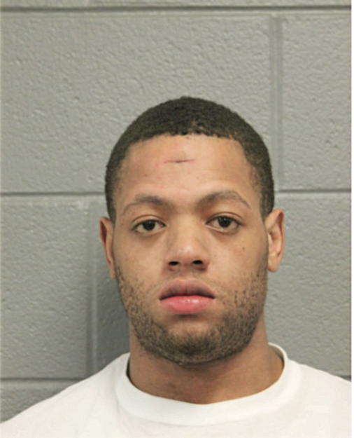 DAMEIAN T ANDERSON, Cook County, Illinois