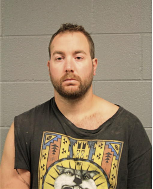 DANIEL S ARNONE, Cook County, Illinois