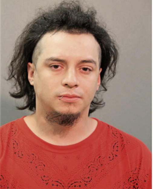 ANDRES BARRAZA, Cook County, Illinois