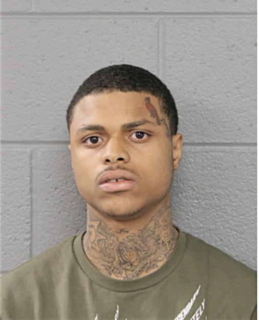 DESHUN D BODY, Cook County, Illinois
