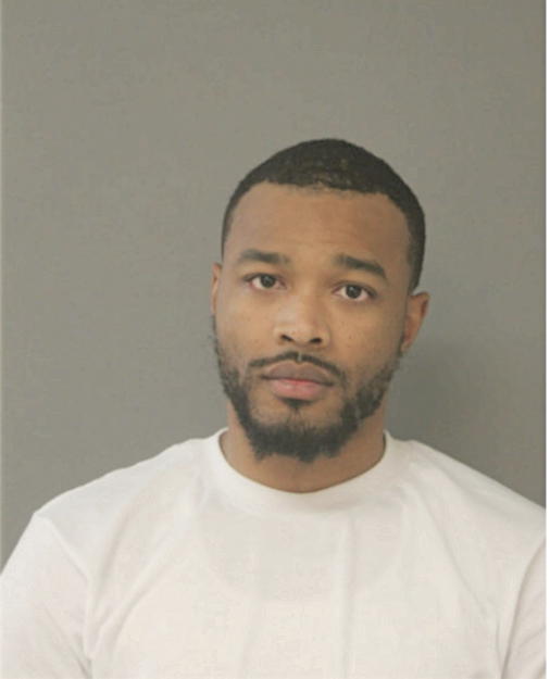 CHRISTOPHER A DALTON, Cook County, Illinois