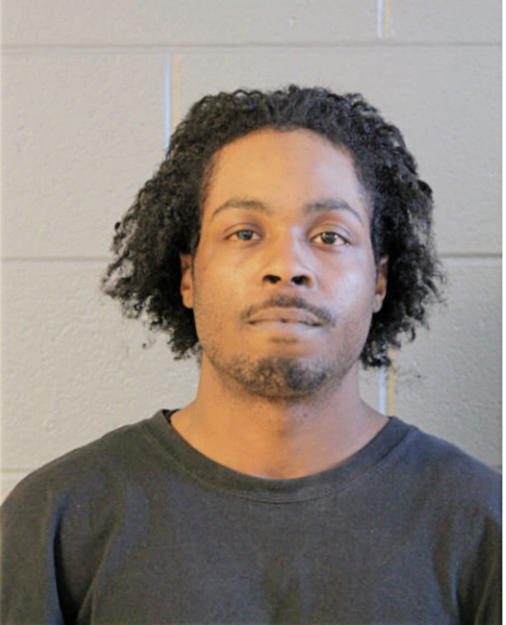 DWAYNE L DAVIS, Cook County, Illinois