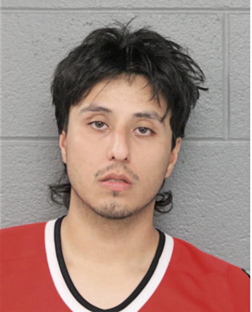 LUIS DEANDA, Cook County, Illinois