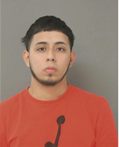 OSCAR DELGADO, Cook County, Illinois