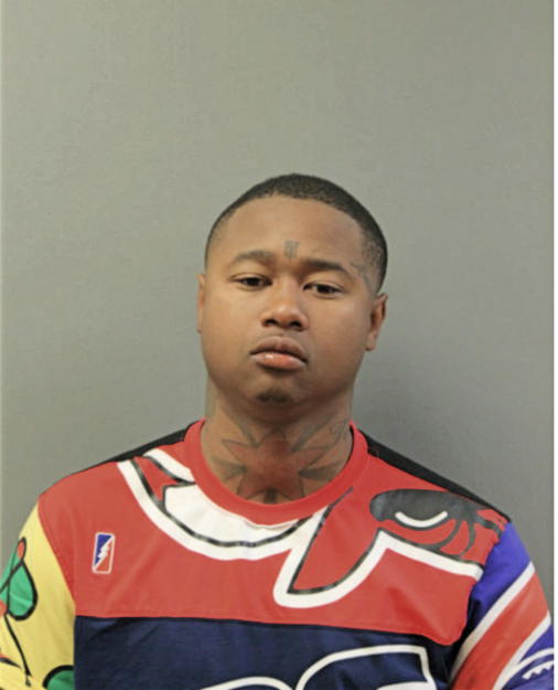 THOMAS T GIBSON, Cook County, Illinois