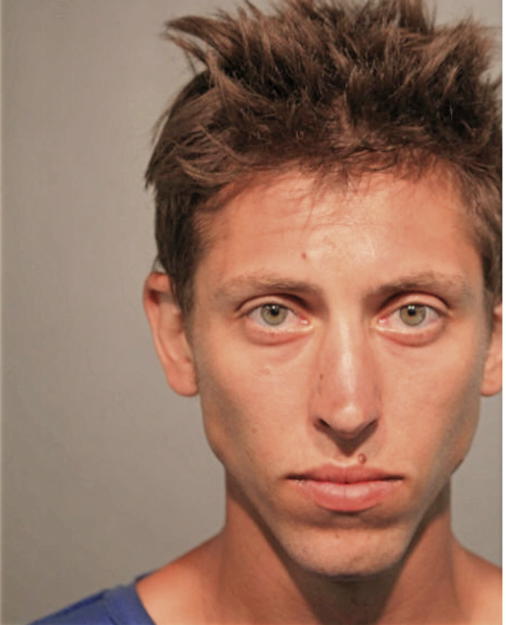 ALEXANDER T GRYSZKOWSKI, Cook County, Illinois