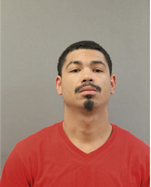 WILLIAM J JACKSON, Cook County, Illinois
