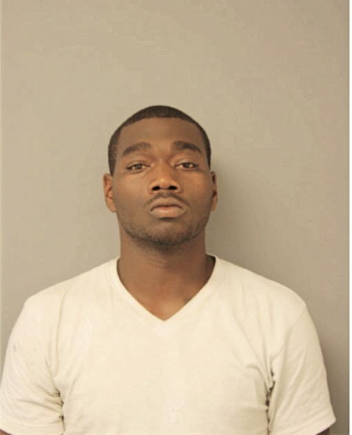 MICHAEL T KING, Cook County, Illinois