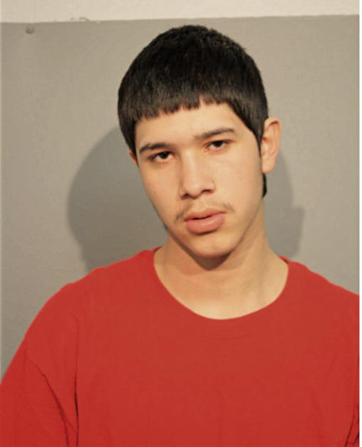 GILBERTO MARTINEZ, Cook County, Illinois