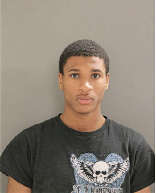 MICHAEL W MATTHEWS, Cook County, Illinois