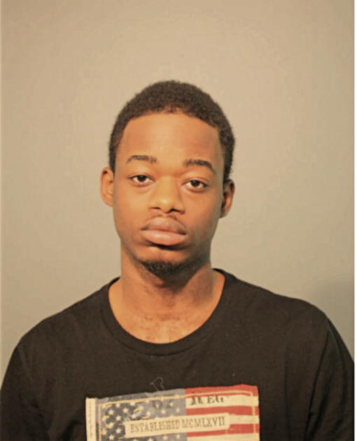 JOHNELLE M MCDONALD, Cook County, Illinois