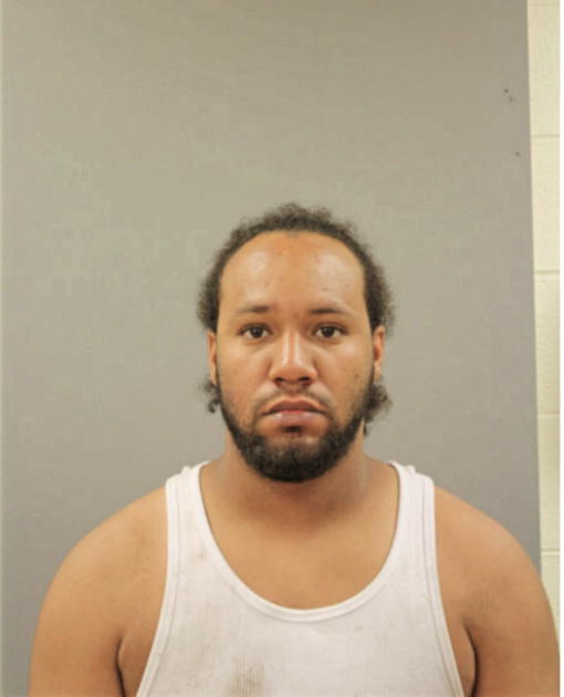 KAMERON C MCGEE, Cook County, Illinois