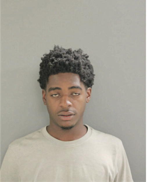 SANTANA D MITCHELL, Cook County, Illinois