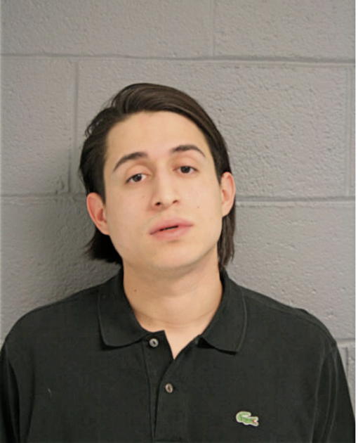 HECTOR N MORALES, Cook County, Illinois