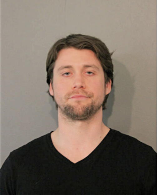 AARON J MULLHOLAND, Cook County, Illinois