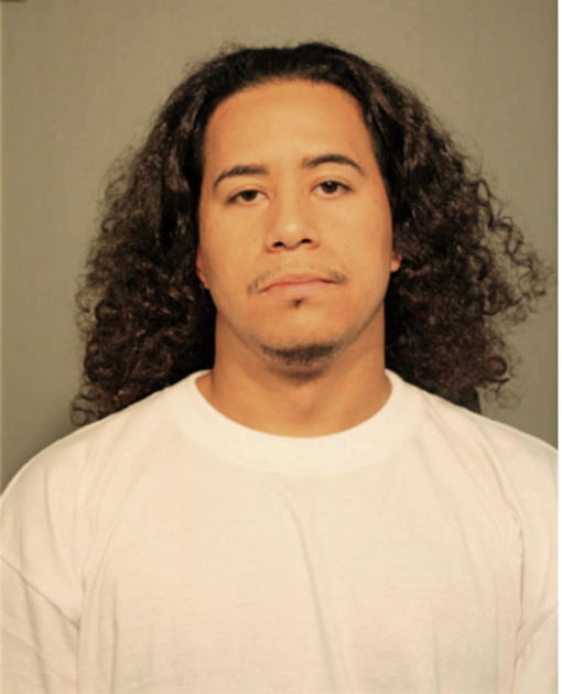 PEDRO E NAVARRETTE, Cook County, Illinois