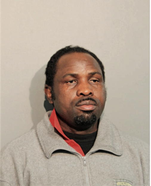 OYESHILE M OLUSESAN, Cook County, Illinois