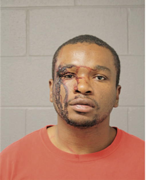 TREDDEST J PAIGE, Cook County, Illinois