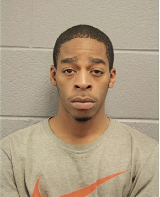 STEVEN J PETERS, Cook County, Illinois