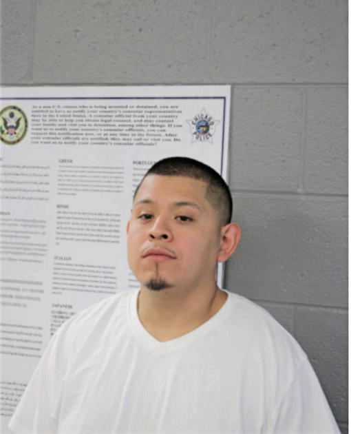 ARTURO FLORES RODRIGUEZ, Cook County, Illinois