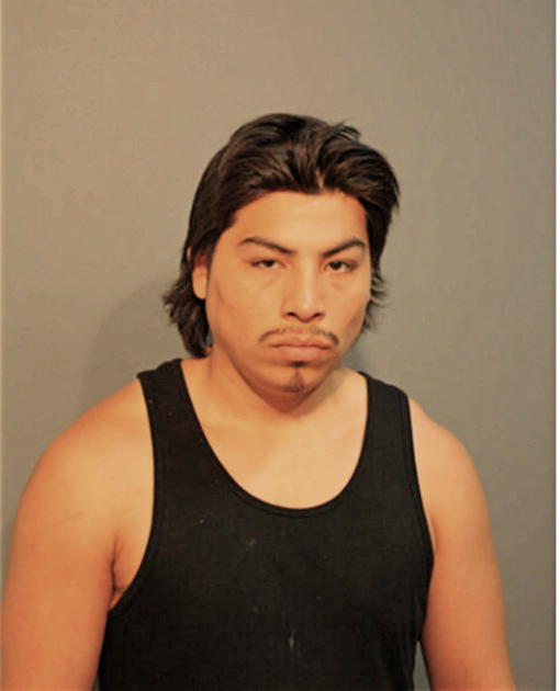 FERNANDO M RUIZ, Cook County, Illinois