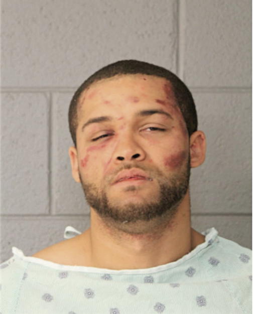 JEFFERY T SHAW, Cook County, Illinois