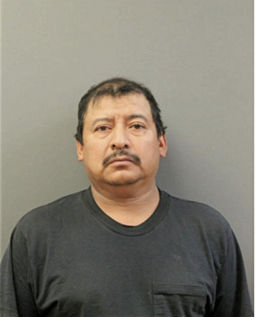CAMIL VILLATORO, Cook County, Illinois