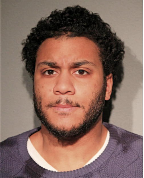 PATRICK G WARE, Cook County, Illinois