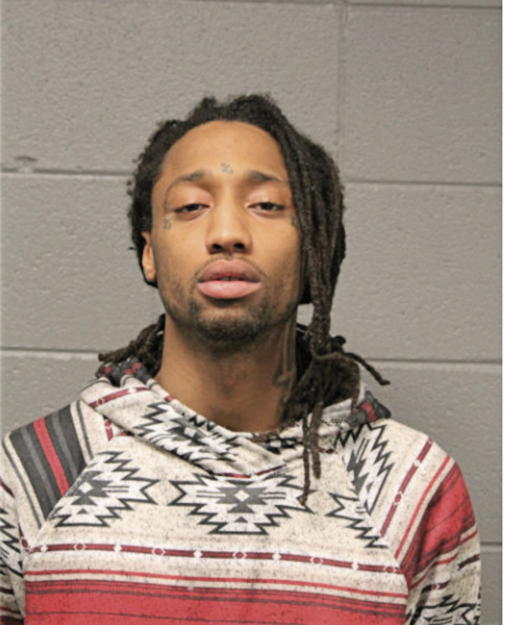 DEVIN J WARNICK, Cook County, Illinois