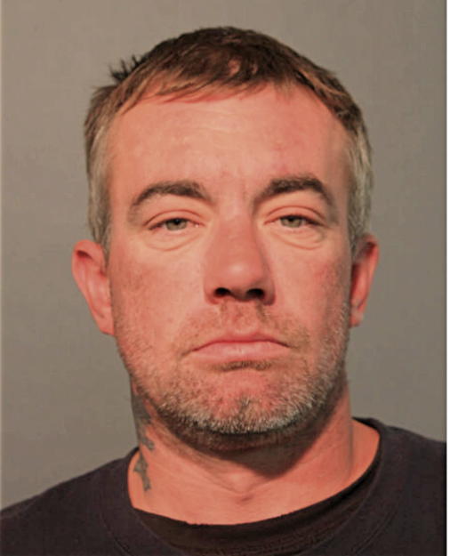 MARK A ANDERSON, Cook County, Illinois