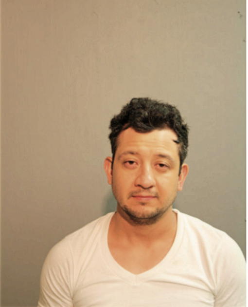 EDIN CONSTANZA, Cook County, Illinois
