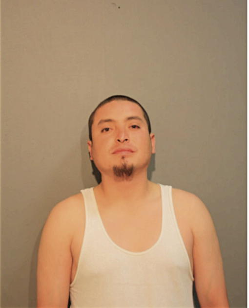 RICHARD ESTRADA, Cook County, Illinois