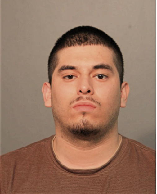 ALEJANDRO FLORES, Cook County, Illinois