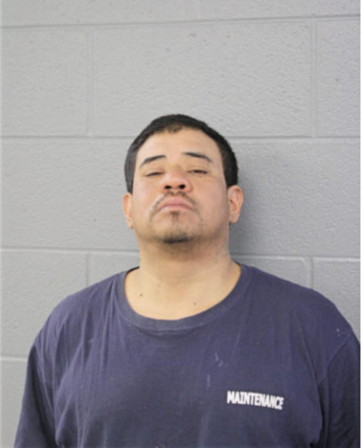 DAVID GONZALEZ, Cook County, Illinois