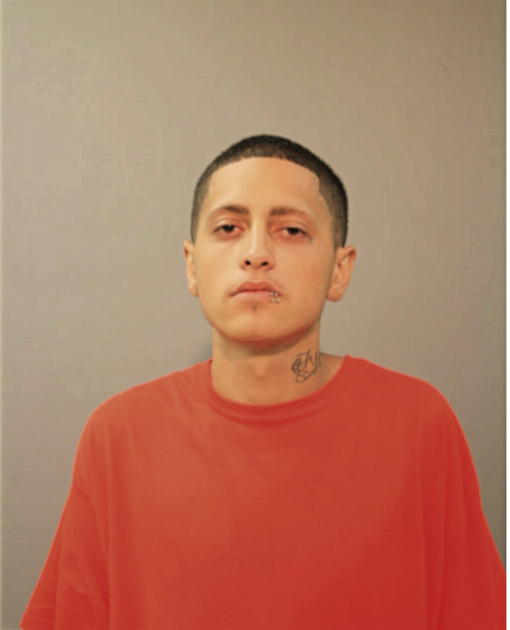 ISAAC GONZALEZ, Cook County, Illinois