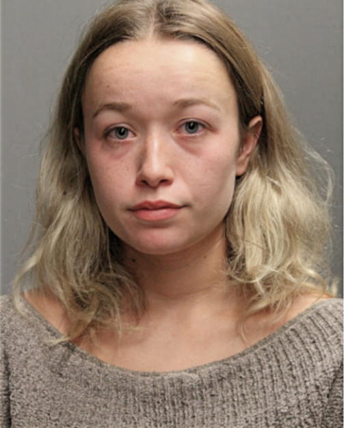 AMY E LARSEN, Cook County, Illinois