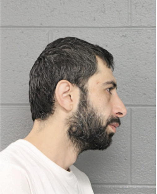 EHSAAN F MOMANI, Cook County, Illinois