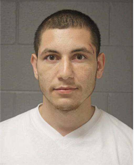 ARIEL NAVA, Cook County, Illinois