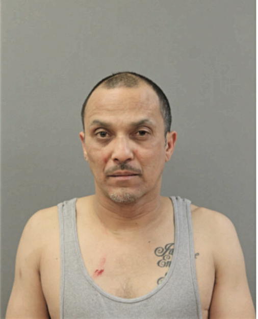 ANGEL L NAVARRO, Cook County, Illinois