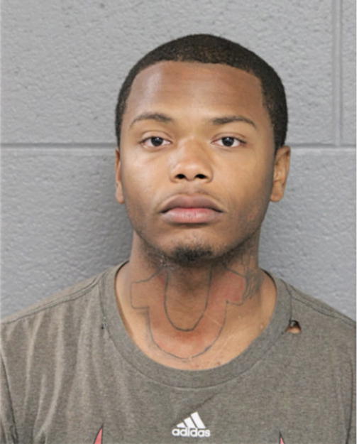 DONALD R NORRIS, Cook County, Illinois