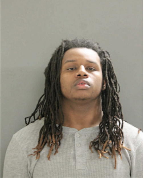 TERRANCE D RUBIN, Cook County, Illinois