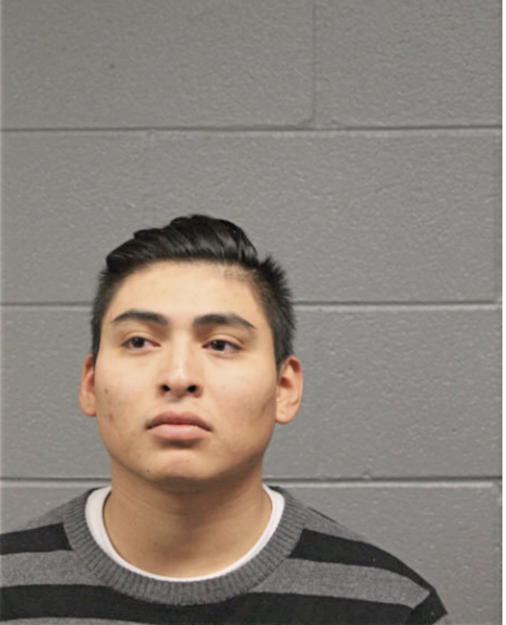 SERGIO RUIZ-ELVIRA, Cook County, Illinois