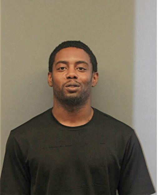 TERRANCE T SIMS, Cook County, Illinois