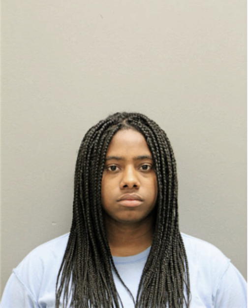 BRITTNEY L SNYDER, Cook County, Illinois