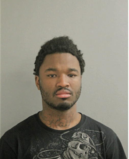 DERRICK S STEWART, Cook County, Illinois