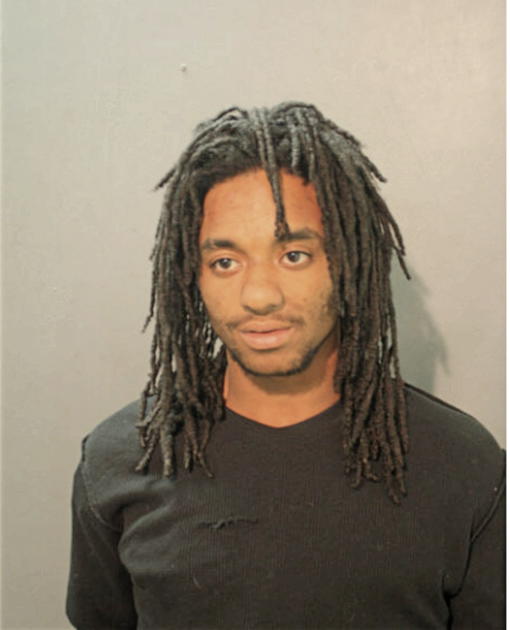 MARK S SWANIGAN, Cook County, Illinois