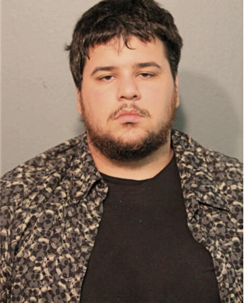 ANTHONY E SZALAJ, Cook County, Illinois