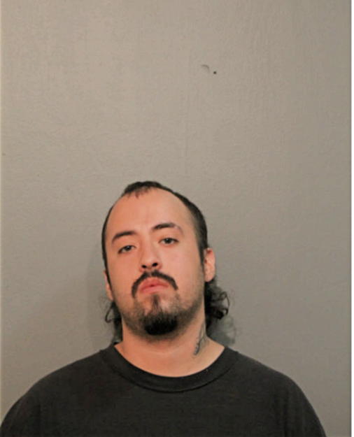 DINO VENEGAS, Cook County, Illinois